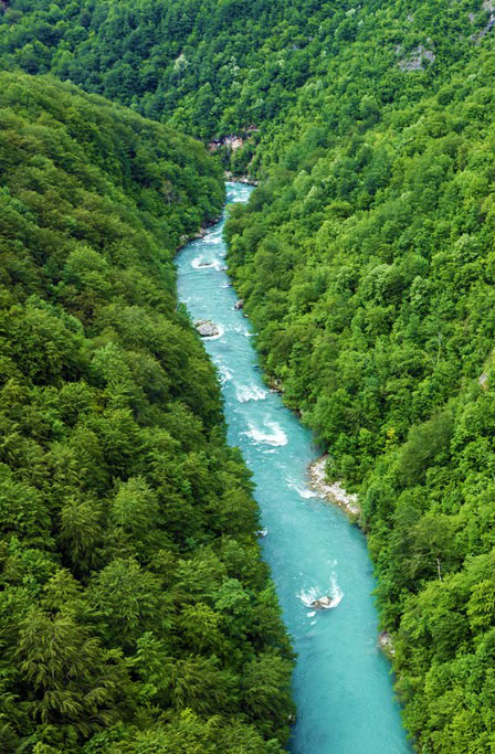 Tara-river-canyon1